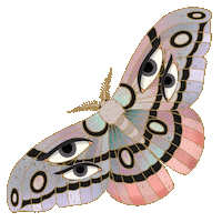 Magic Witch Sticker