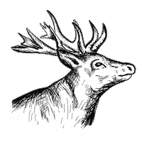 Schnauze-und-company wurst hirsch fleisch schnauze und company Sticker