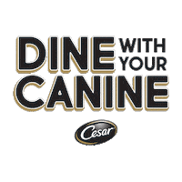 Bestiebowls Sticker by Cesar Canine Cuisine