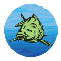 Catchandrelease Ryba Sticker by chytapustcz