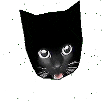 Bro Gif Sticker