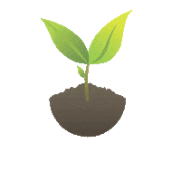 sementescerquinha plant sementes cerquinha Sticker