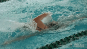 athletics swimming GIF by GreenWave