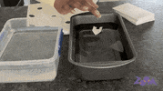 Pbs Kids Water GIF by WGBH Boston