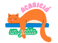 pazilustra cat gato pazilustra Sticker