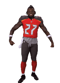 Tampa Bay Buccaneers Sticker Sticker by NFL