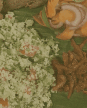 OdileTV giphygifmaker GIF