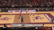 volleyball illinois GIF by NCAA Championships