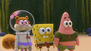 Kamp Koral GIF by SpongeBob SquarePants