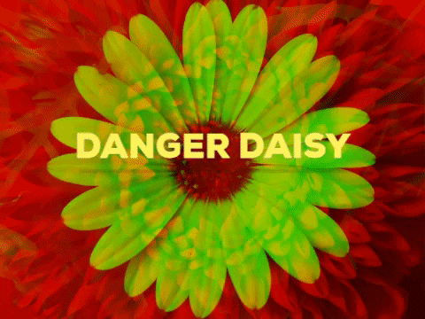 kanderson_nyc giphygifmaker daisy warning alert GIF