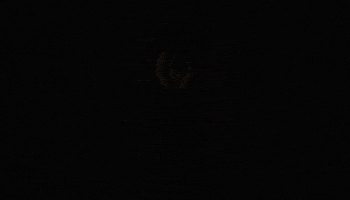 Robert Pattinson Action GIF by The Batman