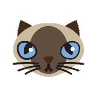 minimundos cat siamese cat serious cat minimundos Sticker