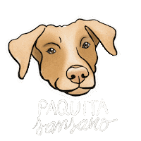 Art Artista Sticker