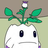 Frustrated I Want GIF by Magic Eden