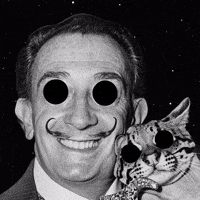 Good Morning Omg GIF by Sogni AI