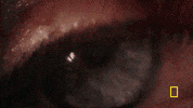 one strange rock GIF by National Geographic Channel