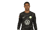 Vfl Wolfsburg Look Sticker by Bundesliga