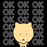 Kangaroo Ok GIF