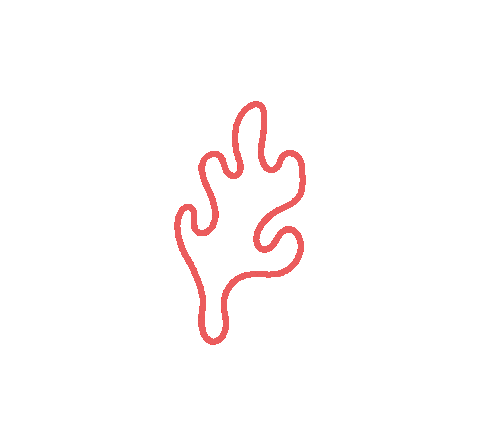 coralstudio giphyupload ocean sea marine Sticker