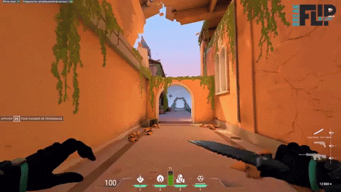 Devorta giphygifmaker viper wall GIF