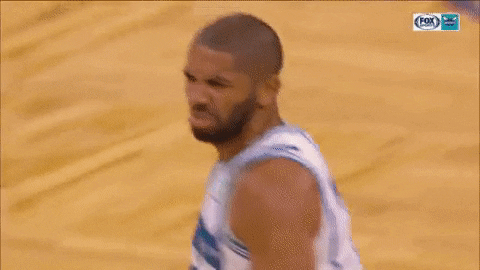 nba wtf GIF by Charlotte Hornets
