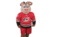 Excited Ice Hockey Sticker by NHL