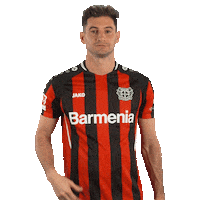 Bayer 04 Thumbs Up Sticker by Bayer 04 Leverkusen