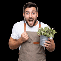 plant-rebelz excited secret plantrebelz plant rebelz GIF