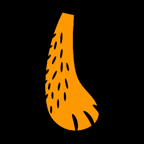 AbastoShopping giphygifmaker GIF