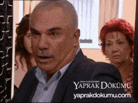 Tokat Yd GIF by Yaprak Dökümü