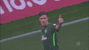 eintracht frankfurt bundesliga GIF