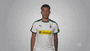 football bother GIF by Bundesliga