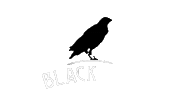 blackbird radioonline Sticker by Vorterix Bahia