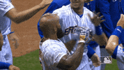 Major League Baseball Sport GIF by MLB