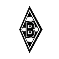 germany football Sticker by Bundesliga