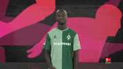 Wondering Werder Bremen GIF by Bundesliga