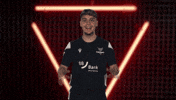 Karlsruher Sc Hello GIF by Bundesliga