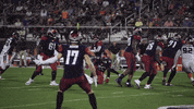 zach mettenberger memphis GIF by MemphisExpress