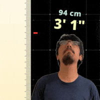 3 Foot GIF