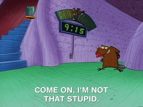 nickrewind giphydvr nicksplat angry beavers giphyab031 GIF