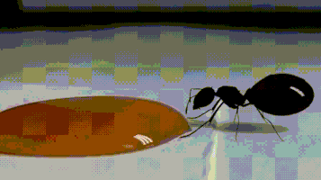 queen drinks GIF