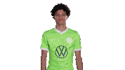 Football Thumbs Up Sticker by VfL Wolfsburg
