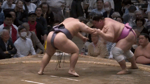 TZ85 giphyupload sumo ura 2023 natsu basho GIF
