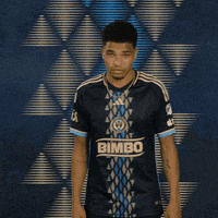 Soccer Goal GIF by Philadelphia Union