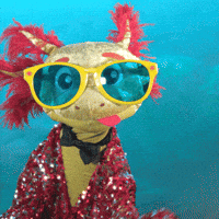 Sunglasses Photo GIF by Aquarium of the Pacific