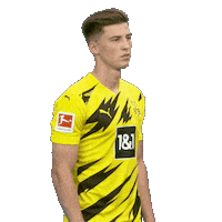 Posing Line Up Sticker by Bundesliga