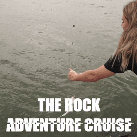 Rocktheboat GIF by Simple Life Social