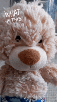 Angry What Is This GIF
