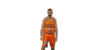 Liga Endesa Basketball Sticker by ACB