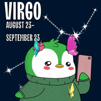 Stars Sign GIF by Pudgy Penguins